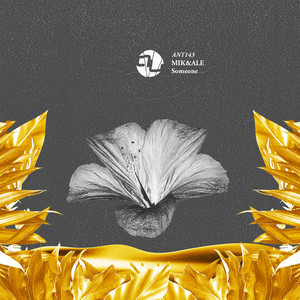 Pointed (Original Mix)