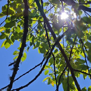 小幸运原唱:田馥甄