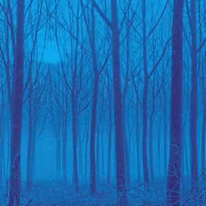 if you're still here