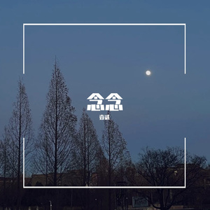 董小姐（翻自 宋冬野）