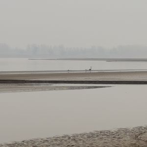 未曾预料的结局