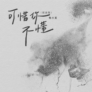 可惜你不懂(摇滚版)