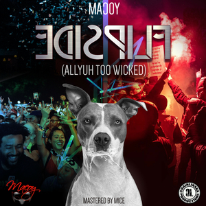 Flipside (Allyuh Too Wicked) (Instrumental)