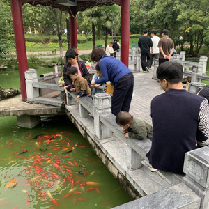 《鲸鱼与飞鸟的来信》.wav