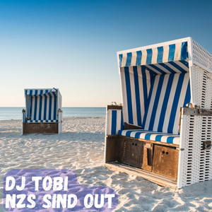 Nzs sind out (Party Mix)