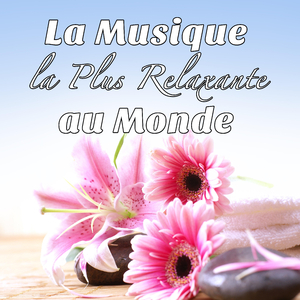 Je Te Pardonne