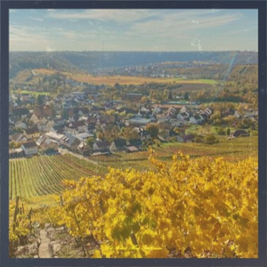 I Got a Rocket in My Pocket