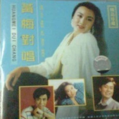 树上的鸟儿成双对