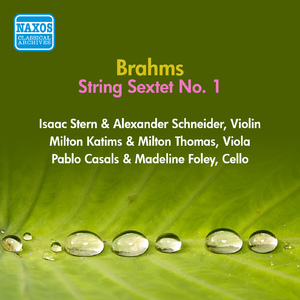 String Sextet No. 1 in B-Flat Major, Op. 18:IV. Rondo: Poco allegretto e grazioso