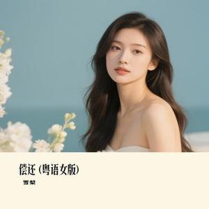 偿还  (粤语女版) (Remix)