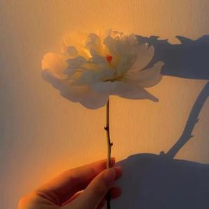 忘不掉的是你(吉他翻唱）