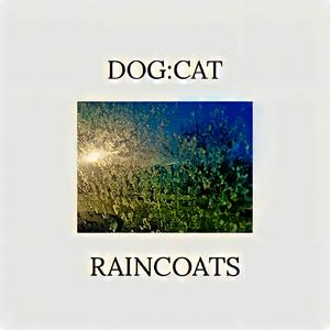 Raincoats