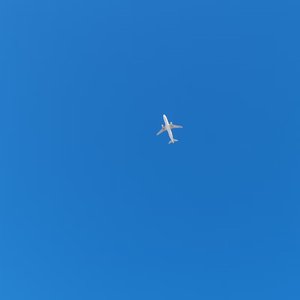 东北东