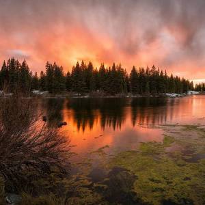 Lonely Christmas（粤）