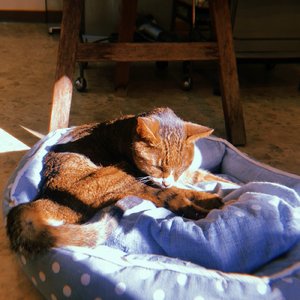 2025年8月21日16:45 (かおるへ)