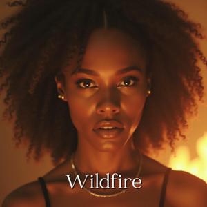 Wildfire