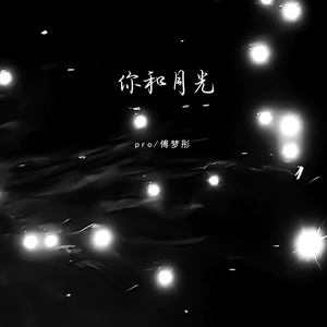 你和月光