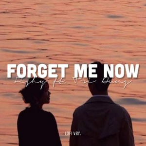 Forget Me Now (Lofi)