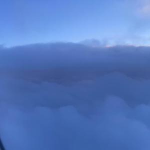 We're In This Together, My Darling