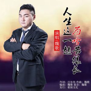 人生这一趟为啥苦很长 (DJ版)