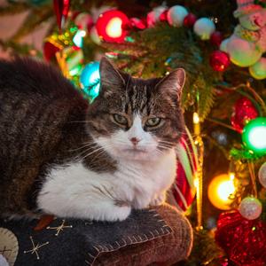 Free Beat 雨中的律动