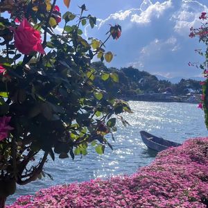 风在沙丘背面的签名