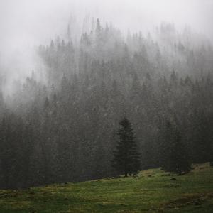 strangers with memories