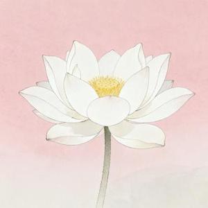 一念花开 (Cover 生命树下)