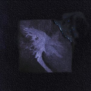 Emotional intensification（情绪激化）