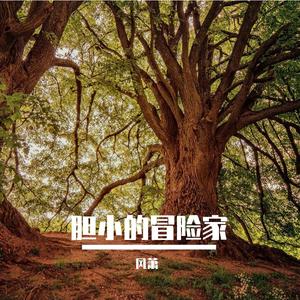 胆小的冒险家
