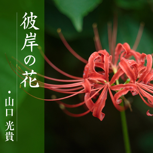 彼岸の花
