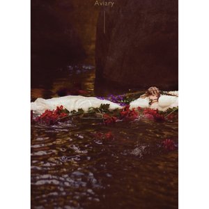 Aviary (Single)