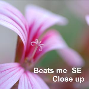 We'll Meet by the Horizon