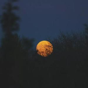 不顾（翻自 王泽科）