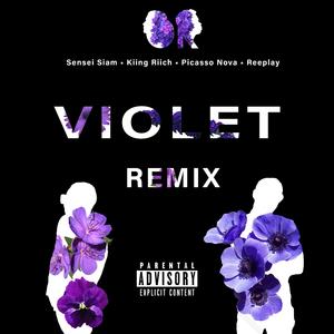 Violet (feat. Picasso Nova & Reeplay) (Remix) (Remix)
