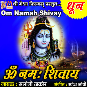 Om Namah Shivay