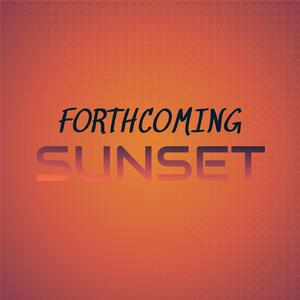 Semiacid Stretchiness