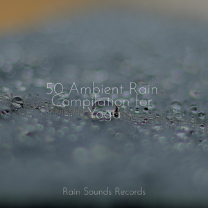 The Murky Melody of Croak Creek