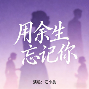 用余生忘记你