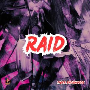 Raid