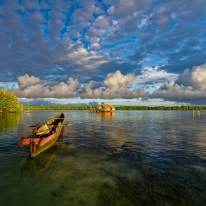 雨の中のアリア
