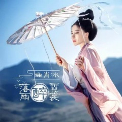 落雨醉霓裳(DJ沈念) (Remix)