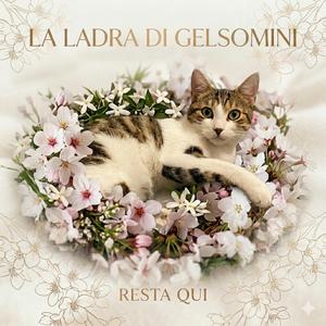 Resta Qui