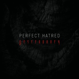 Perfect Hatred