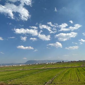 在一起的时光(demo)