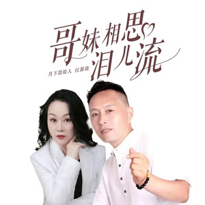 哥妹相思泪儿流 (DJ沈念版)