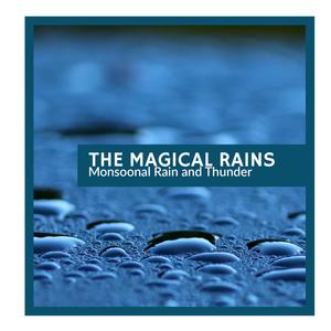 Wingless Insects & Birds