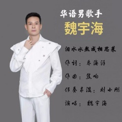 泪水水熬成相思菜