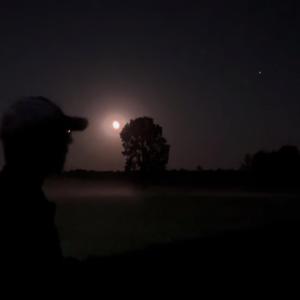 Tell me what it is im goin crazy over you (feat. 8NTNOWAY)