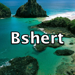 Bshert 5